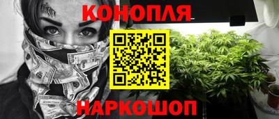 сатива Апшеронск