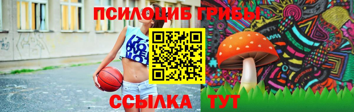 Псилоцибиновые грибы Psilocybe  Вход с VPN  Барнаул  Галлюциногенные грибы ЛСД 